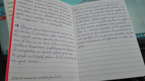 extrait de mon carnet sur miracle morning