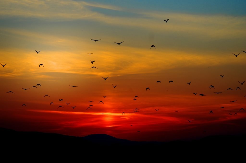 soleil couchant avant de bien se réveiller