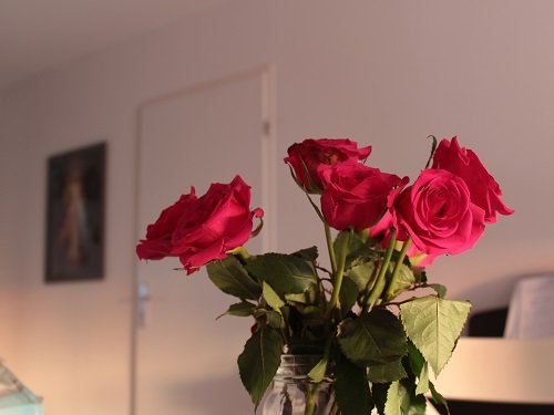 rose marie @NicolasHSK