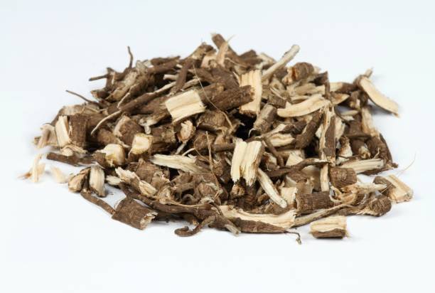 ginseng sibérien contre le burnout